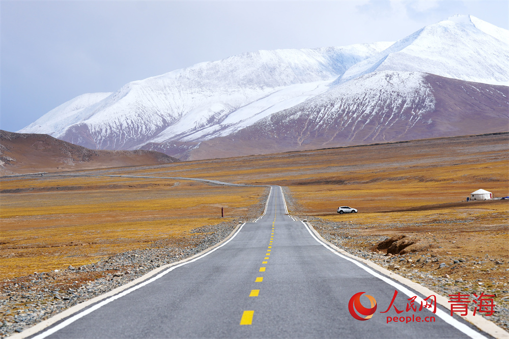 新春走基层｜青海格尔木：路美百业兴(图4)