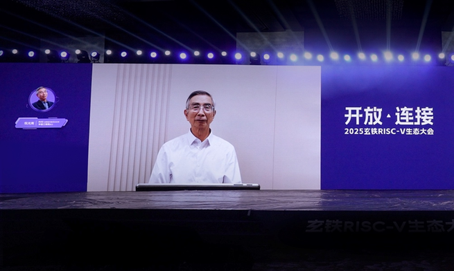 玄铁首款服务器级CPU下月交付 加快布局“高性能+AI”RI