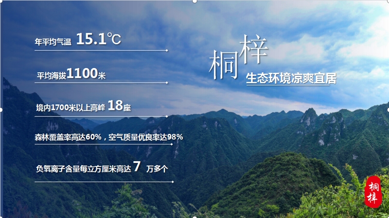 “六大优势”展现无限潜力！桐梓到深圳作产业招商推介(图6)