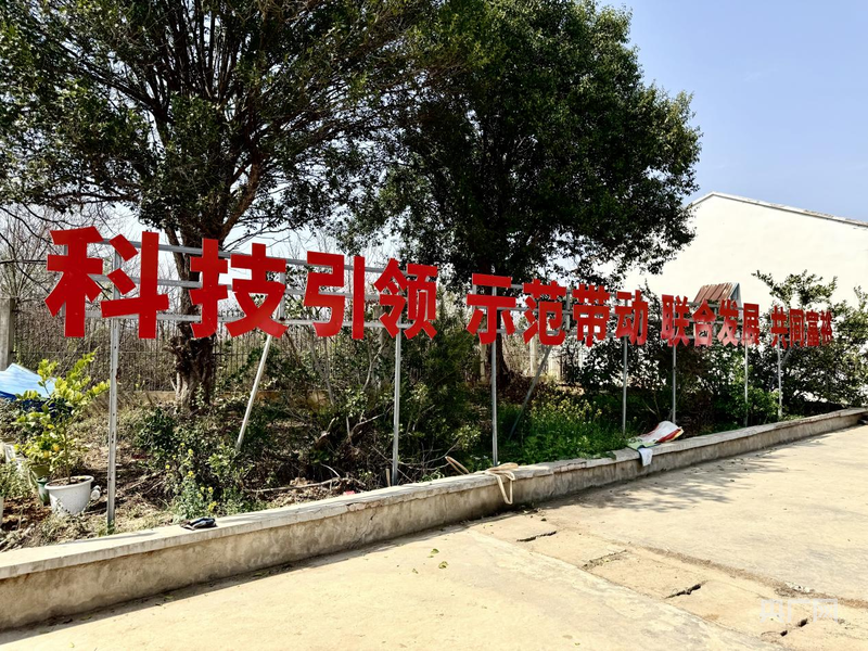 湖北孝感：科技助力春耕生产提速增效(图4)