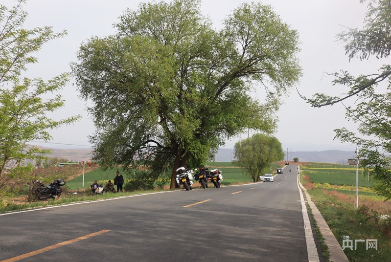 甘肃秦安：网红公路串起“诗和远方” 乡村旅游热力十足(图1)