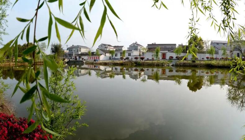 桐城：以“繡花功夫”織就城鄉新圖景(图1)
