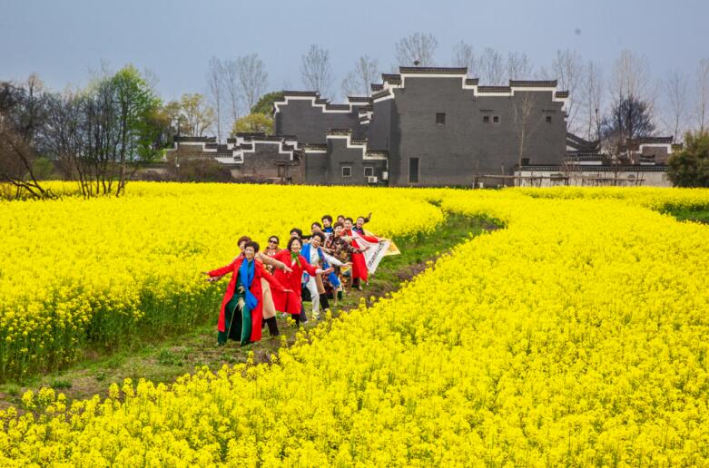 桐城：以“繡花功夫”織就城鄉新圖景(图3)