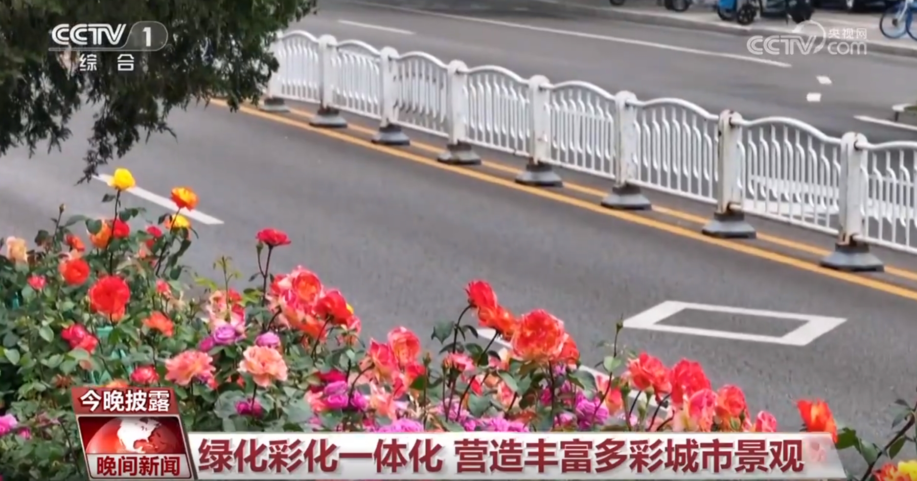 一路生花 北京绿化带何以火热“出圈”？(图3)