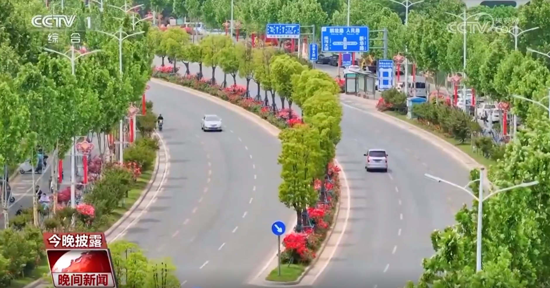 一路生花 北京绿化带何以火热“出圈”？(图4)