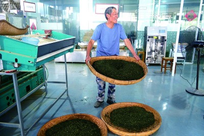 山东日照丁家楼子村：九仙山下的仙境(图3)