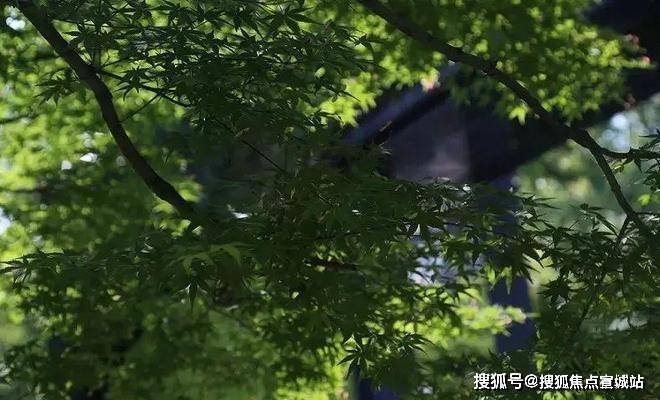 曼荼园(售楼处) 首页 - 【曼荼园】销售中心 - 环境户型价格地址楼盘详情配套交房时间配套电话交房时间(图13)