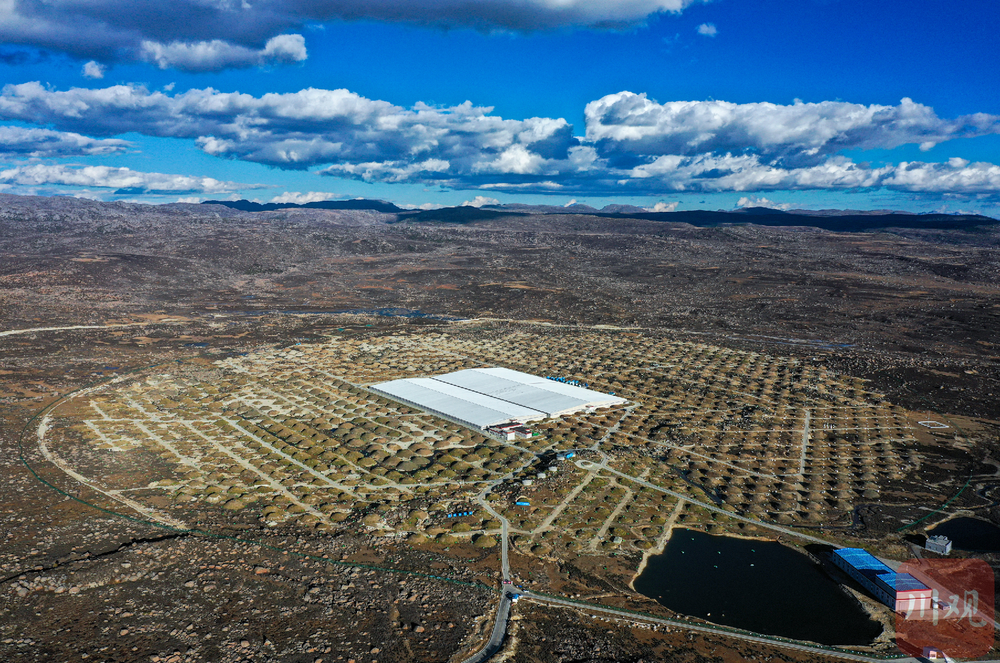 乘势而上 开启奋进“十五五”的序章——写在省委十二届八次全会召开之际(图1)
