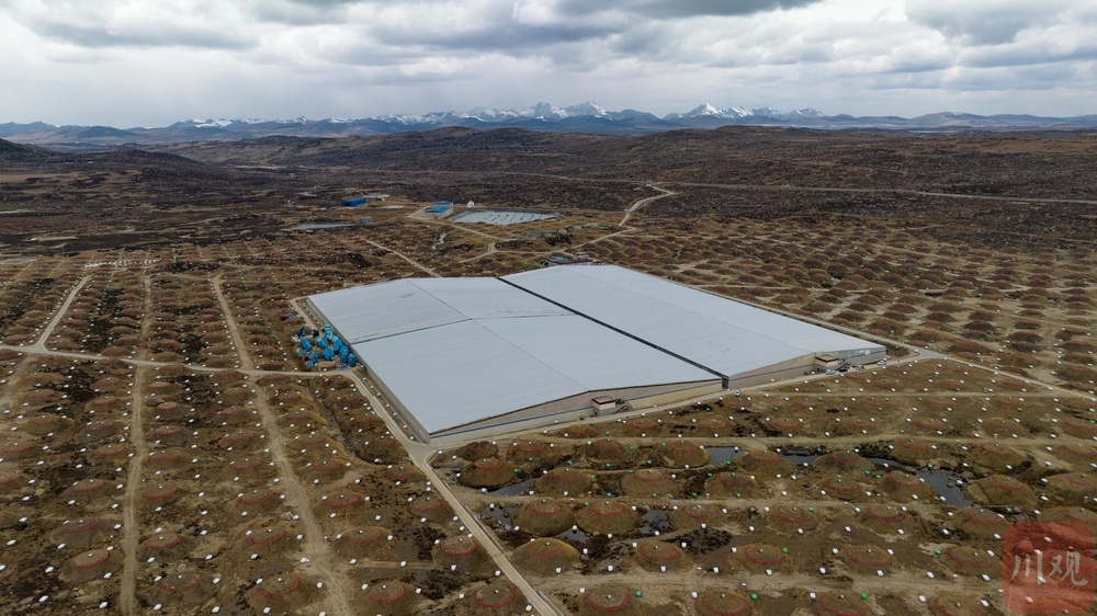 乘势而上 开启奋进“十五五”的序章——写在省委十二届八次全会召开之际(图5)