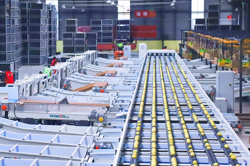 四川安岳县“十四五”的精彩和跨越(图1)